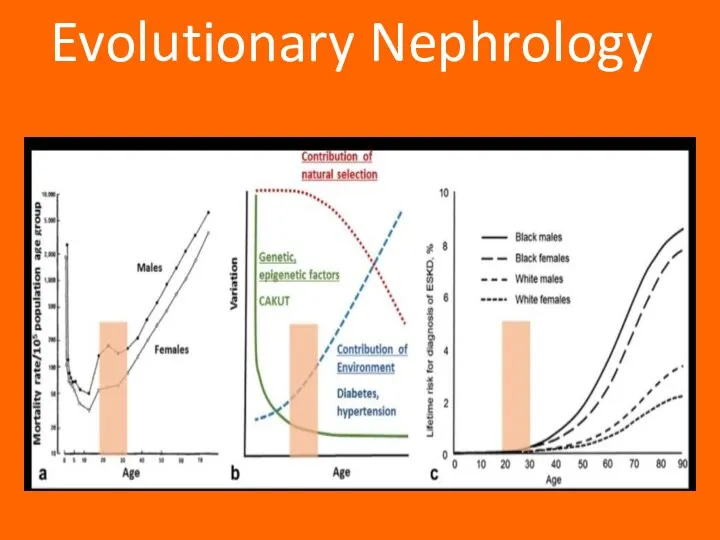 Evolutionary Nephrology