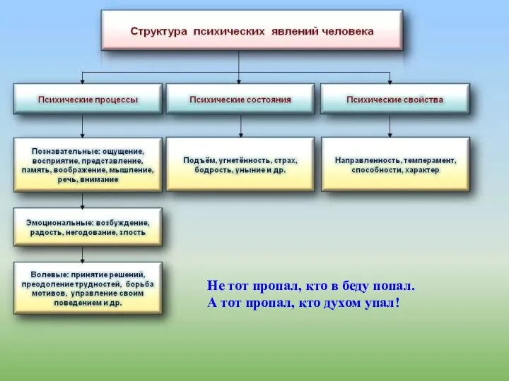 Не тот пропал, кто в беду попал. А тот пропал, кто духом упал!