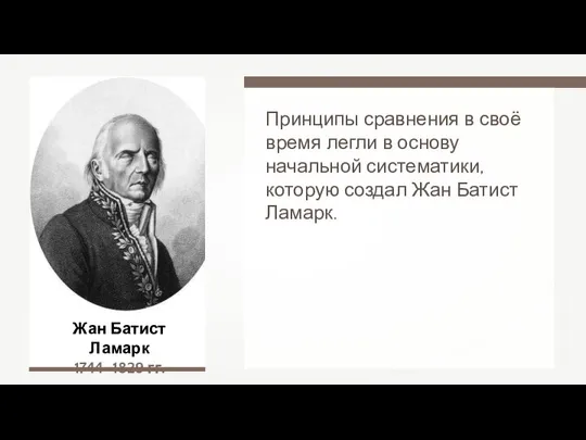 Жан Батист Ламарк 1744–1829 гг. Принципы сравнения в своё время легли