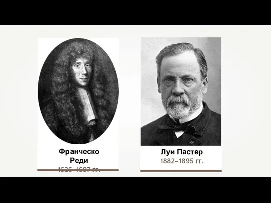 Франческо Реди 1626–1697 гг. Луи Пастер 1882–1895 гг.