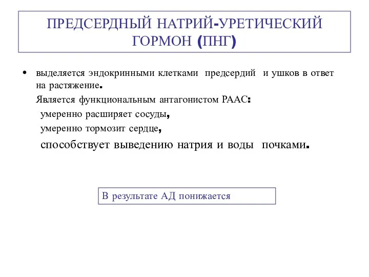 ПРЕДСЕРДНЫЙ НАТРИЙ-УРЕТИЧЕСКИЙ ГОРМОН (ПНГ) выделяется эндокринными клетками предсердий и ушков в