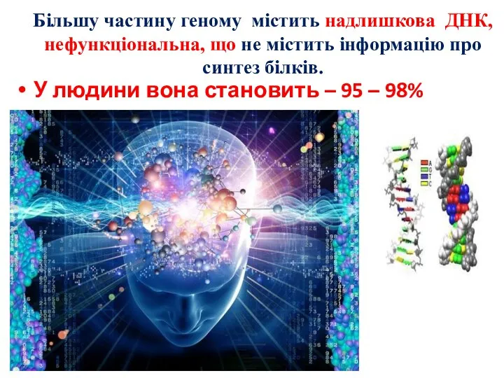 Більшу частину геному містить надлишкова ДНК, нефункціональна, що не містить інформацію