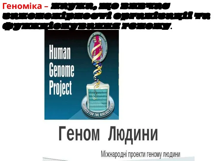 Геноміка – наука, що вивчає закономірності організації та функціонування геному.