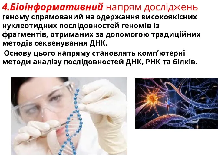 4.Біоінформативний напрям досліджень геному спрямований на одержання високоякісних нуклеотидних послідовностей геномів