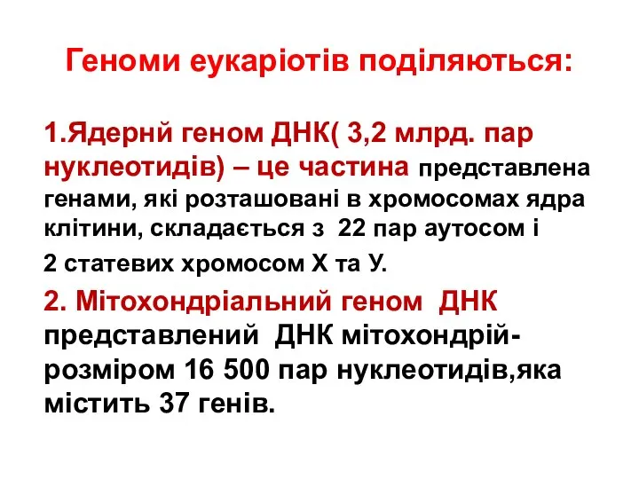 Геноми еукаріотів поділяються: 1.Ядернй геном ДНК( 3,2 млрд. пар нуклеотидів) –