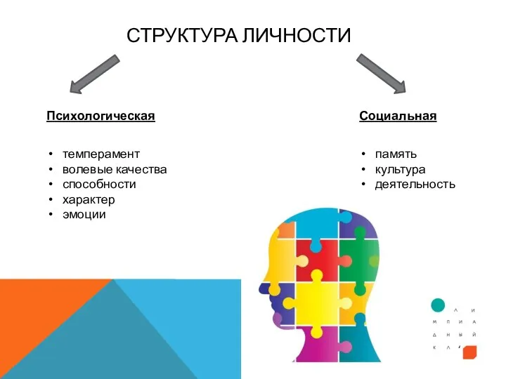 СТРУКТУРА ЛИЧНОСТИ Психологическая Социальная память культура деятельность темперамент волевые качества способности характер эмоции