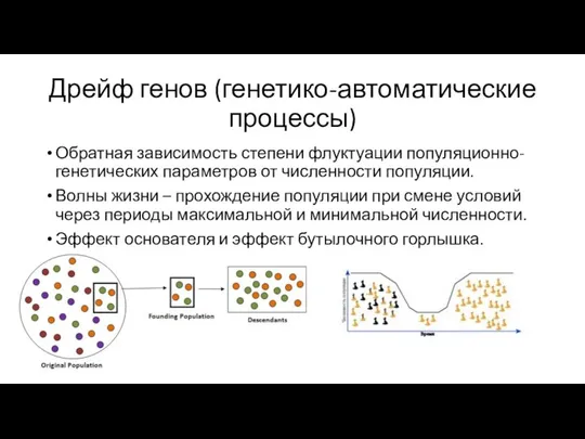 Дрейф генов (генетико-автоматические процессы) Обратная зависимость степени флуктуации популяционно-генетических параметров от