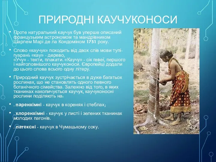 ПРИРОДНІ КАУЧУКОНОСИ Проте натуральний каучук був уперше описаний французьким астрономом та