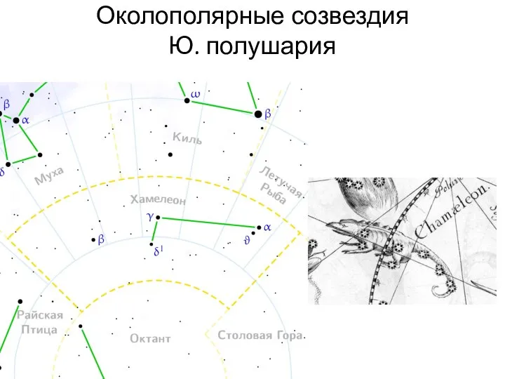 Околополярные созвездия Ю. полушария