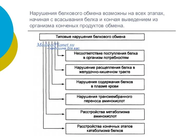 Нарушения белкового обмена возможны на всех этапах, начиная с всасывания белка