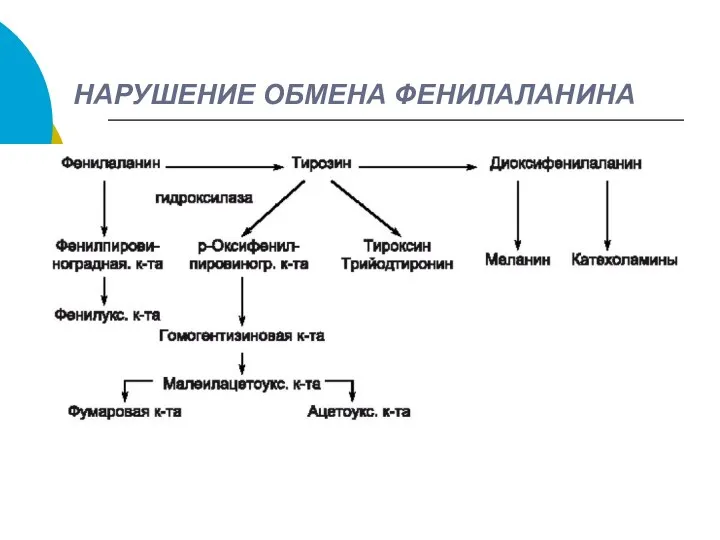 НАРУШЕНИЕ ОБМЕНА ФЕНИЛАЛАНИНА