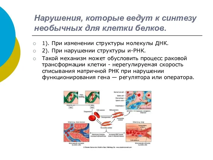 Нарушения, которые ведут к синтезу необычных для клетки белков. 1). При