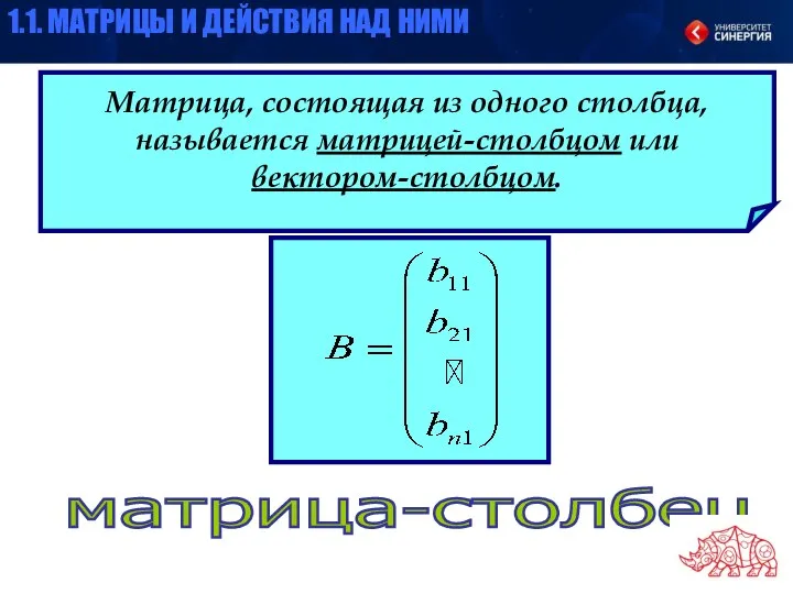 Матрица, состоящая из одного столбца, называется матрицей-столбцом или вектором-столбцом. матрица-столбец 1.1. МАТРИЦЫ И ДЕЙСТВИЯ НАД НИМИ