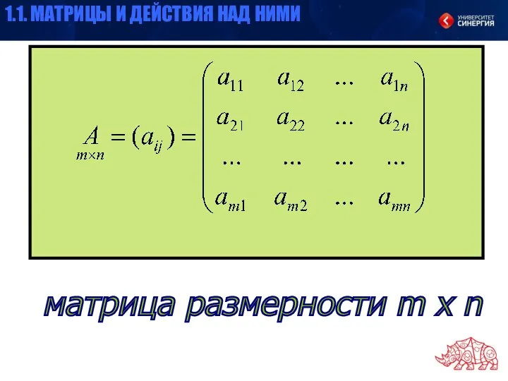 матрица размерности m x n 1.1. МАТРИЦЫ И ДЕЙСТВИЯ НАД НИМИ