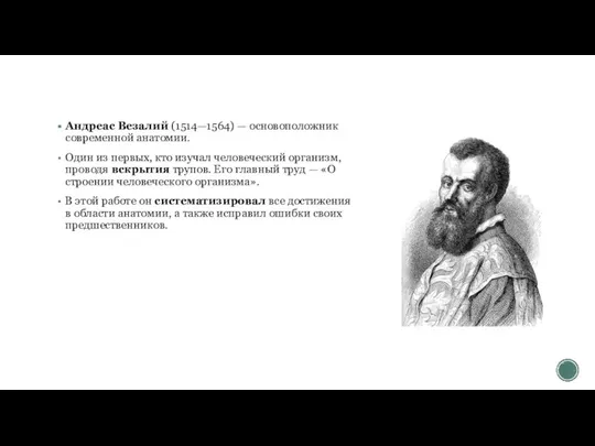 Андреас Везалий (1514—1564) — основоположник современной анатомии. Один из первых, кто