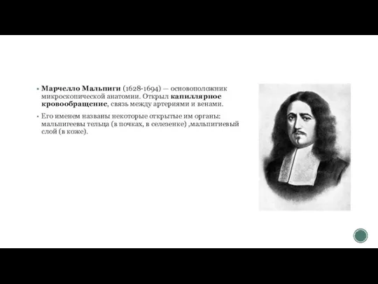 Марчелло Мальпиги (1628-1694) — основоположник микроскопической анатомии. Открыл капиллярное кровообращение, связь