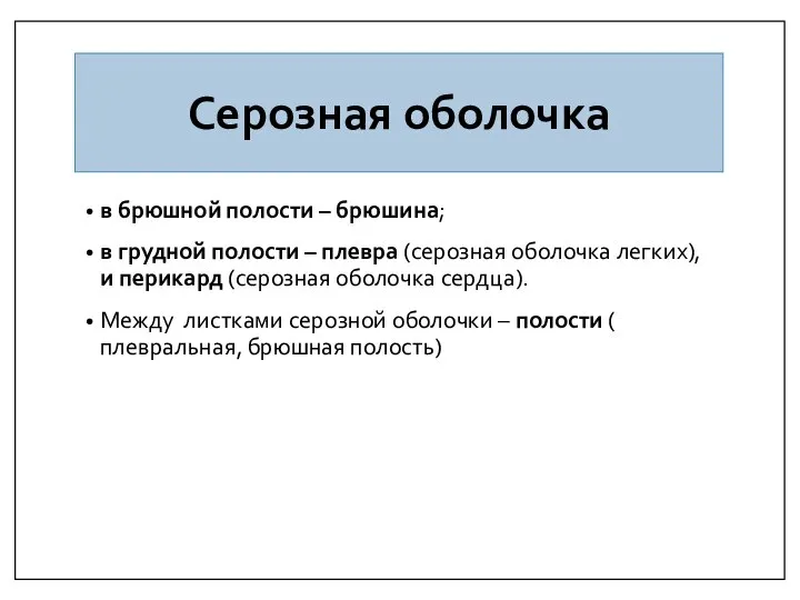 Серозная оболочка в брюшной полости – брюшина; в грудной полости –
