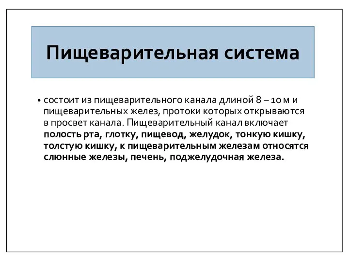 Пищеварительная система состоит из пищеварительного канала длиной 8 – 10 м