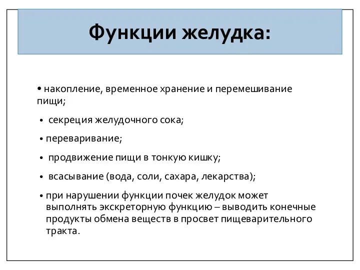 Функции желудка: • накопление, временное хранение и перемешивание пищи; секреция желудочного