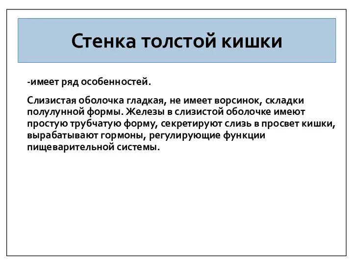 Стенка толстой кишки -имеет ряд особенностей. Слизистая оболочка гладкая, не имеет