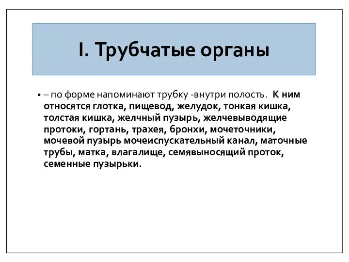 I. Трубчатые органы – по форме напоминают трубку -внутри полость. К