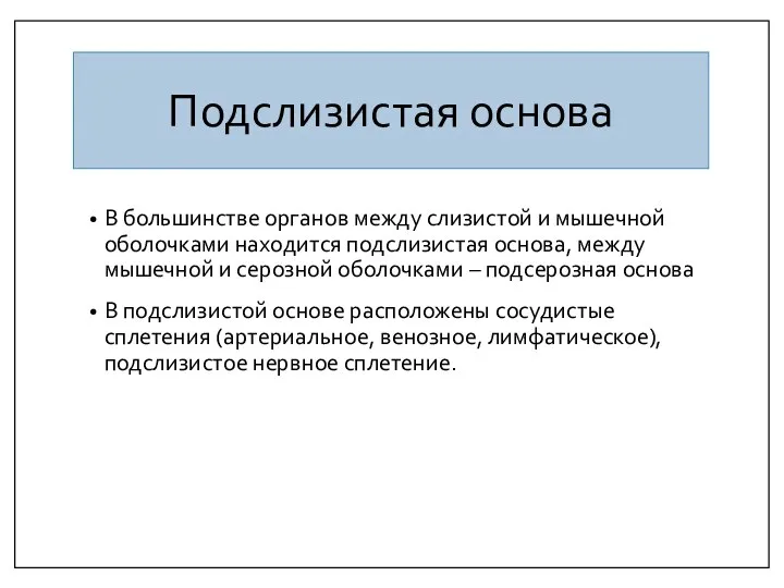 Подслизистая основа В большинстве органов между слизистой и мышечной оболочками находится