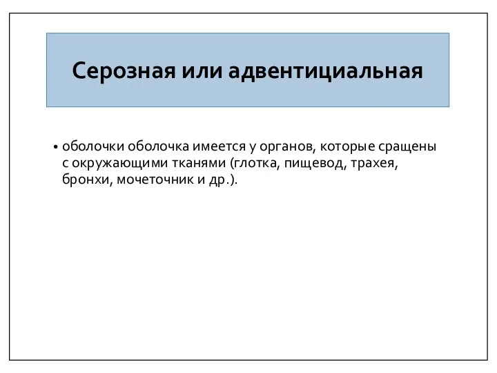 Серозная или адвентициальная оболочки оболочка имеется у органов, которые сращены с