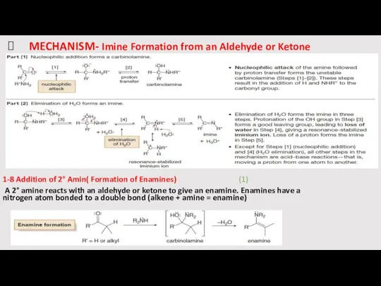 MECHANISM- Imine Formation from an Aldehyde or Ketone 1-8 Addition of