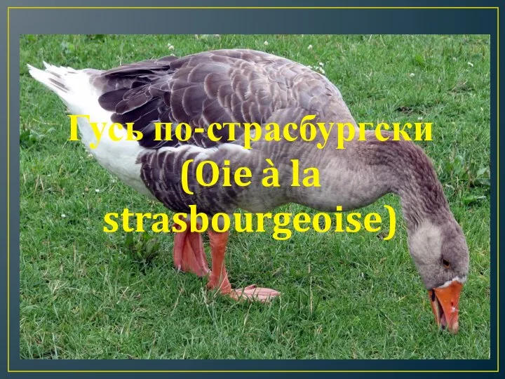 Гусь по-страсбургски (Oie à la strasbourgeoise)