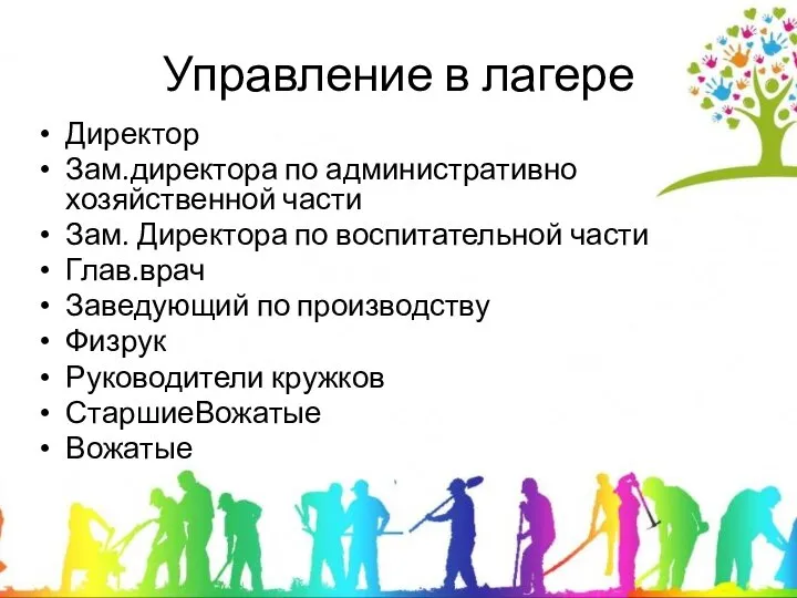 Управление в лагере Директор Зам.директора по административно хозяйственной части Зам. Директора