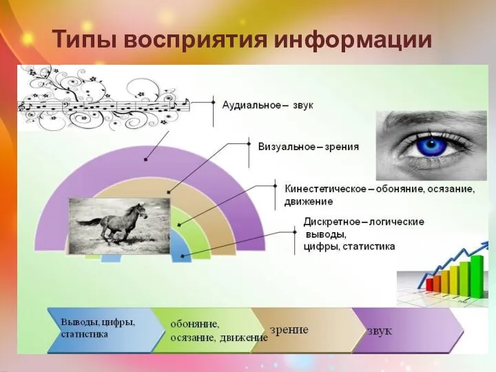 Типы восприятия информации