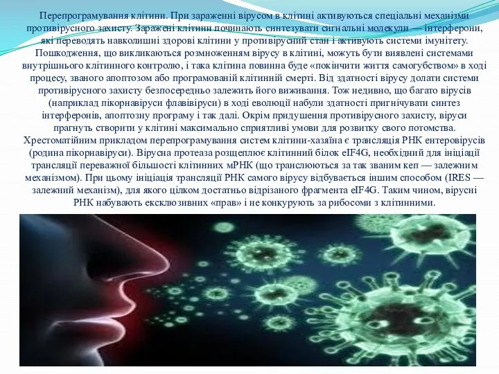 Перепрограмування клітини. При зараженні вірусом в клітині активуються спеціальні механізми противірусного