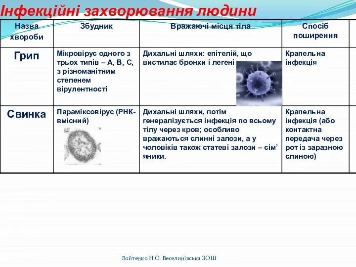 Інфекційні захворювання людини Войтенко Н.О. Веселинівська ЗОШ