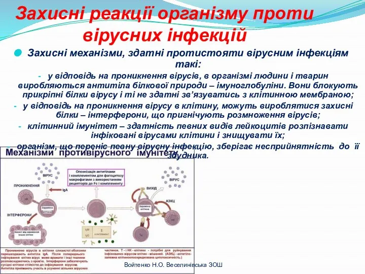 Захисні реакції організму проти вірусних інфекцій Захисні механізми, здатні протистояти вірусним