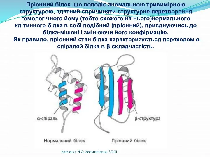 Пріонний білок, що володіє аномальною тривимірною структурою, здатний спричиняти структурне перетворення