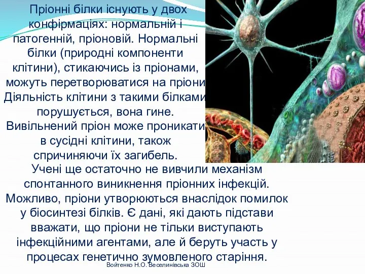 Пріонні білки існують у двох конфірмаціях: нормальній і патогенній, пріоновій. Нормальні