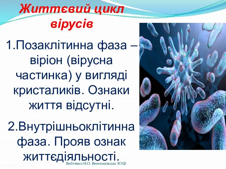 Життєвий цикл вірусів 1.Позаклітинна фаза – віріон (вірусна частинка) у вигляді