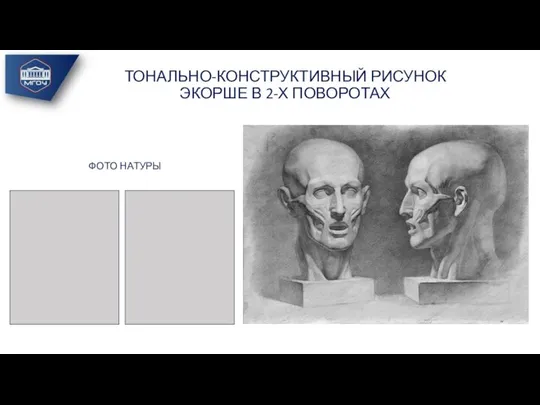 ТОНАЛЬНО-КОНСТРУКТИВНЫЙ РИСУНОК ЭКОРШЕ В 2-Х ПОВОРОТАХ ФОТО НАТУРЫ