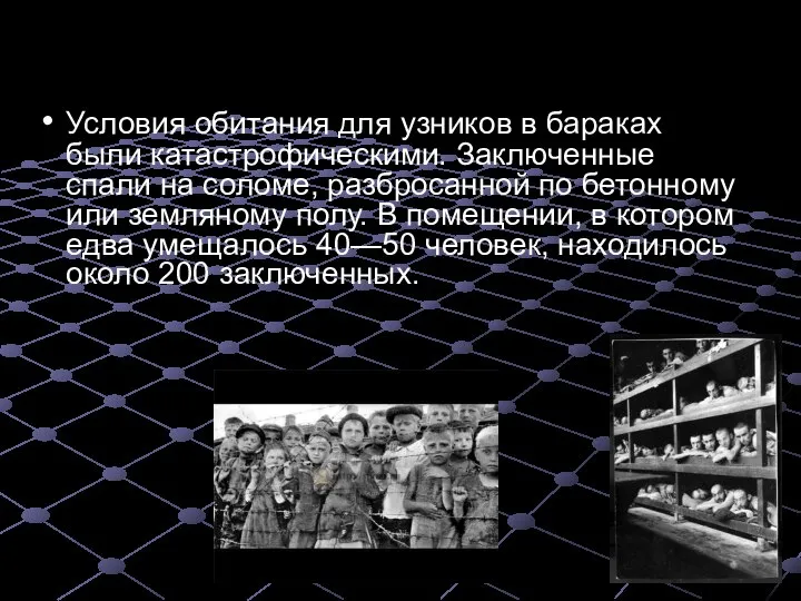 Условия обитания для узников в бараках были катастрофическими. Заключенные спали на