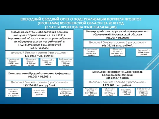 ЕЖЕГОДНЫЙ СВОДНЫЙ ОТЧЕТ О ХОДЕ РЕАЛИЗАЦИИ ПОРТФЕЛЯ ПРОЕКТОВ (ПРОГРАММ) ВОРОНЕЖСКОЙ ОБЛАСТИ