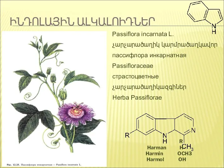 ԻՆԴՈԼԱՅԻՆ ԱԼԿԱԼՈԻԴՆԵՐ R Harman H Harmin OCH3 Harmol OH Passiflora incarnata