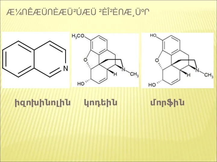 Æ¼ՈÊÆÜՈÈÆÜ²ÚÆÜ ²ÈÎ²ÈՈÆ¸ÜºՐ կոդեին մորֆին իզոխինոլին