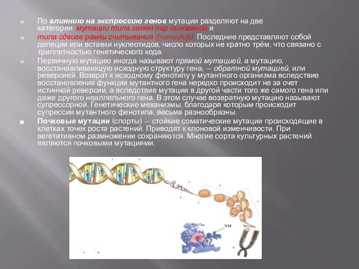 По влиянию на экспрессию генов мутации разделяют на две категории: мутации