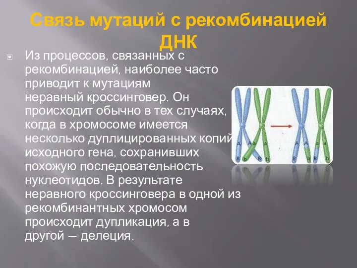 Связь мутаций с рекомбинацией ДНК Из процессов, связанных с рекомбинацией, наиболее