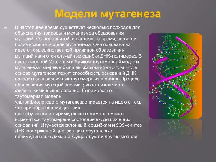 Модели мутагенеза В настоящее время существует несколько подходов для объяснения природы