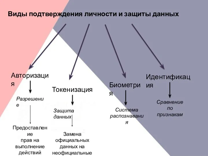 Виды подтверждения личности и защиты данных Авторизация Биометрия Идентификация Токенизация Предоставление