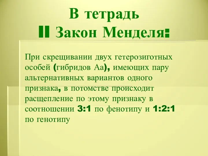 В тетрадь II Закон Менделя: При скрещивании двух гетерозиготных особей (гибридов