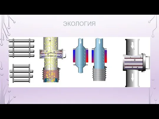 ЭКОЛОГИЯ