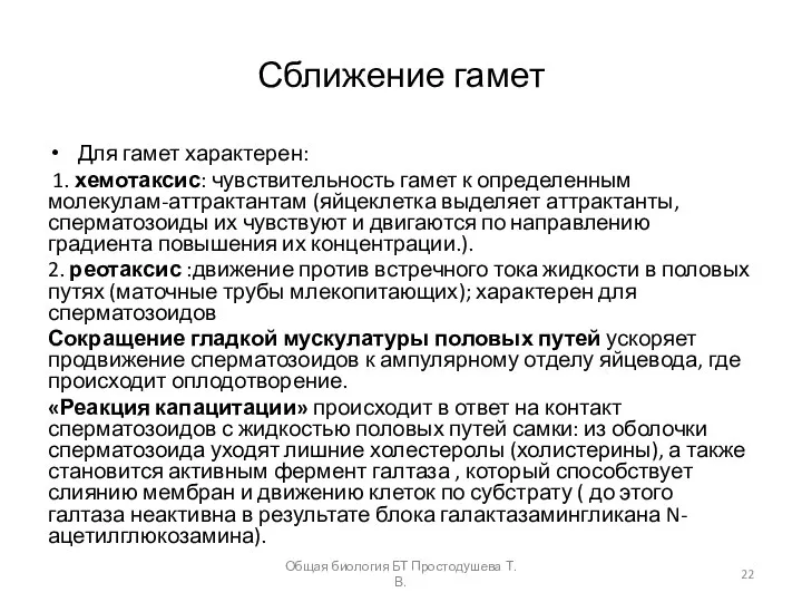 Сближение гамет Для гамет характерен: 1. хемотаксис: чувствительность гамет к определенным