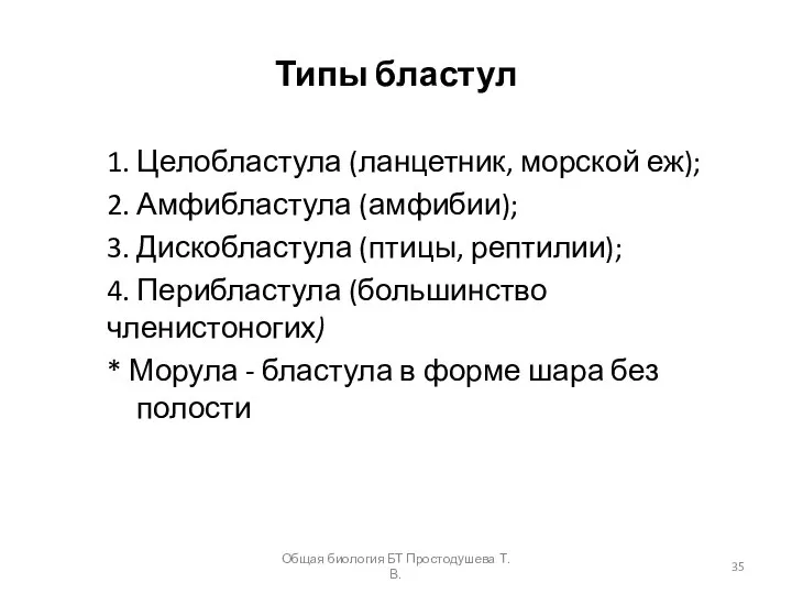 Типы бластул 1. Целобластула (ланцетник, морской еж); 2. Амфибластула (амфибии); 3.